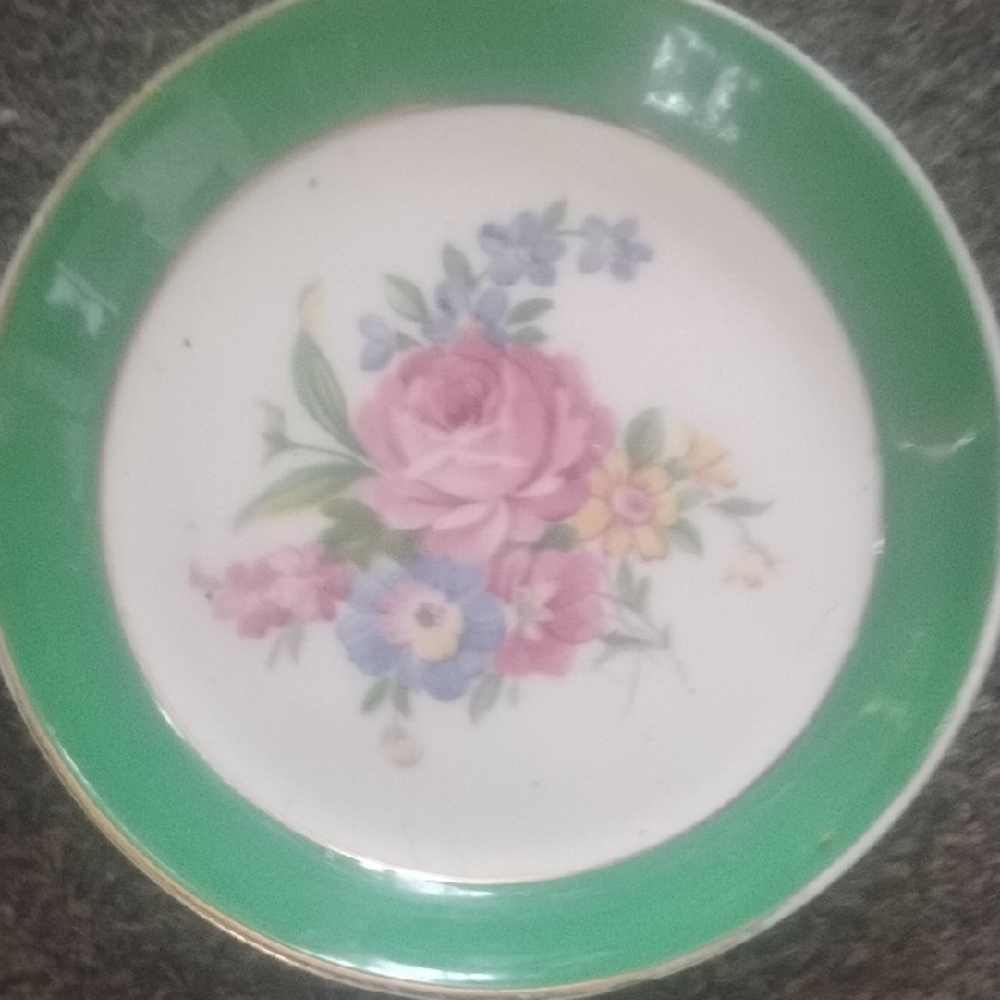 Floral Green Dinner Plate